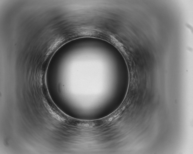 X0000097300106200802221345