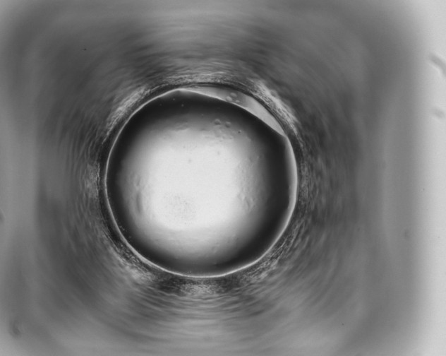 X0000097300107200802221345