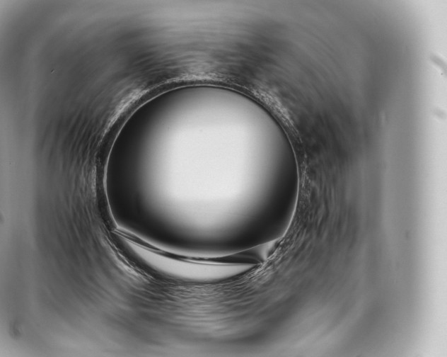 X0000097300108200802221345