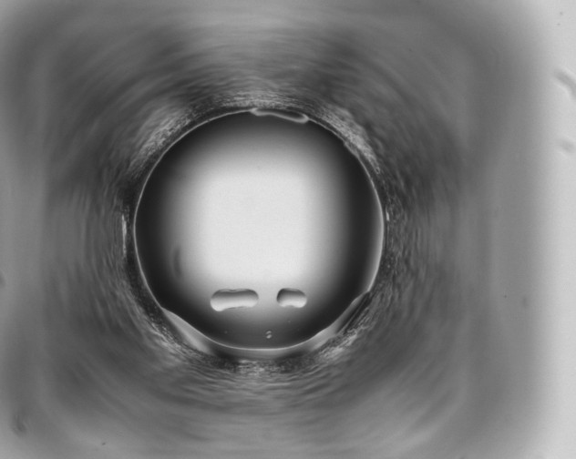 X0000097300109200802221345