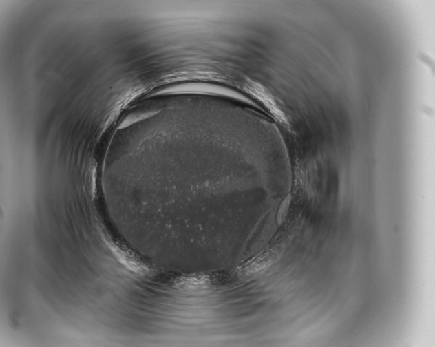 X0000097300110200802221345