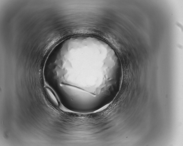 X0000097300111200802221345