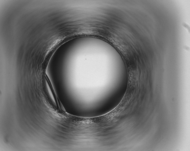 X0000097300112200802221345