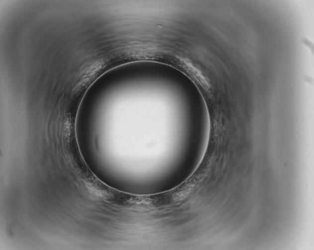 X0000097300113200802221345