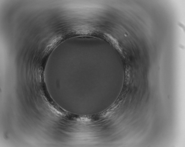 X0000097300114200802221345