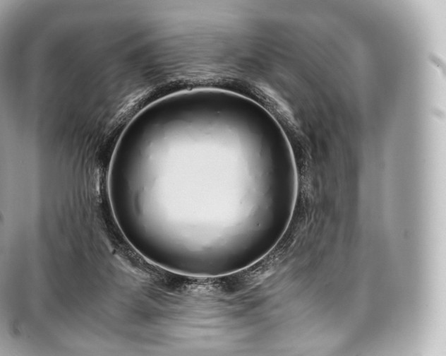 X0000097300115200802221345