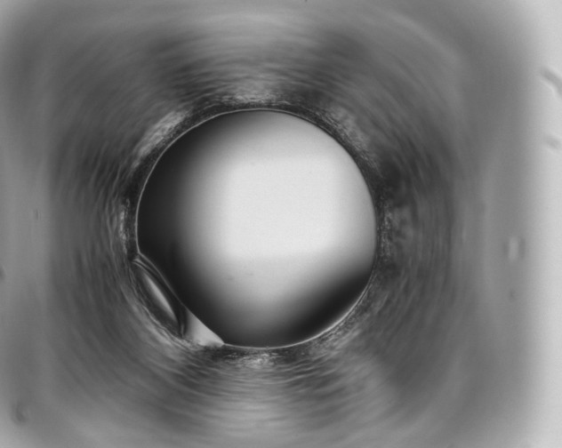 X0000097300116200802221345