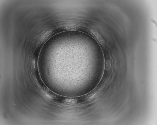 X0000097300117200802221345