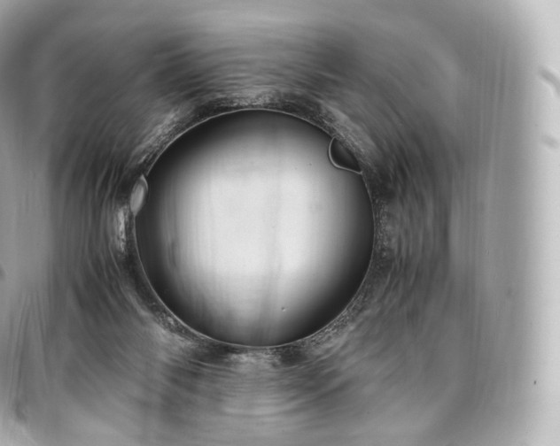 X0000097300118200802221345