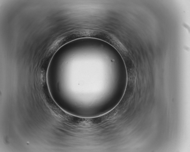 X0000097300119200802221345