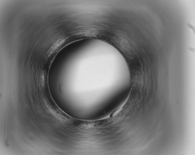 X0000097300120200802221345