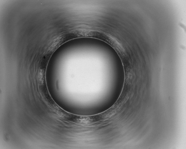 X0000097300121200802221345