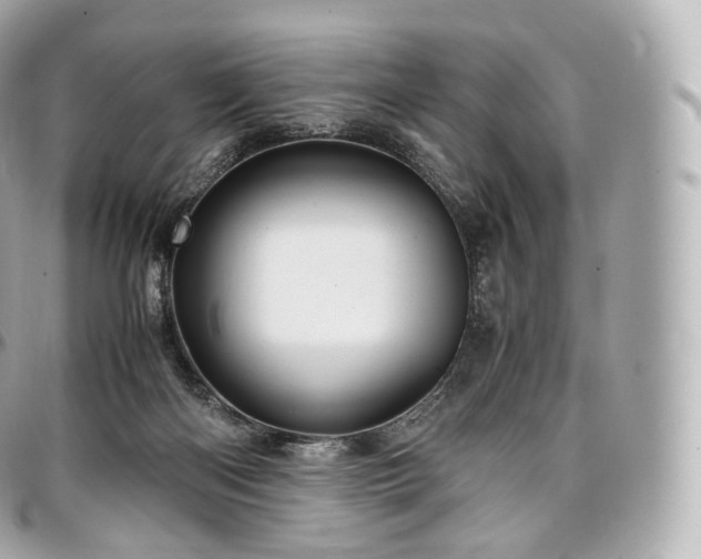 X0000097300122200802221345