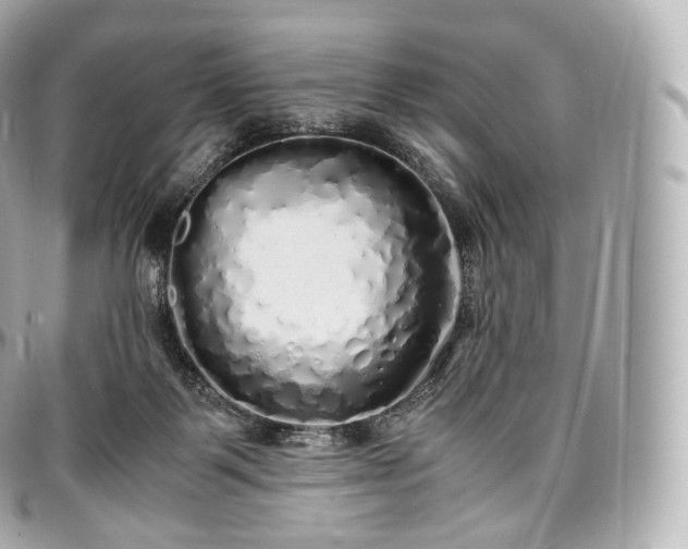 X0000097300123200802221345