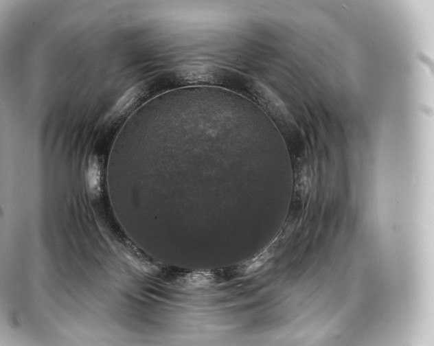 X0000097300124200802221345