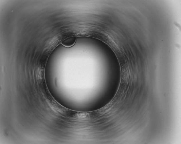 X0000097300126200802221345