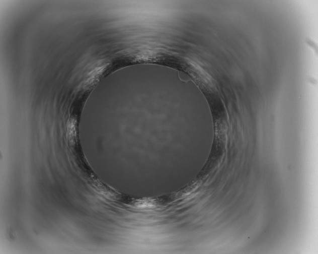 X0000097300127200802221345