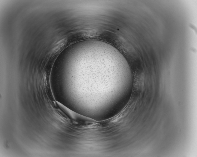 X0000097300128200802221345