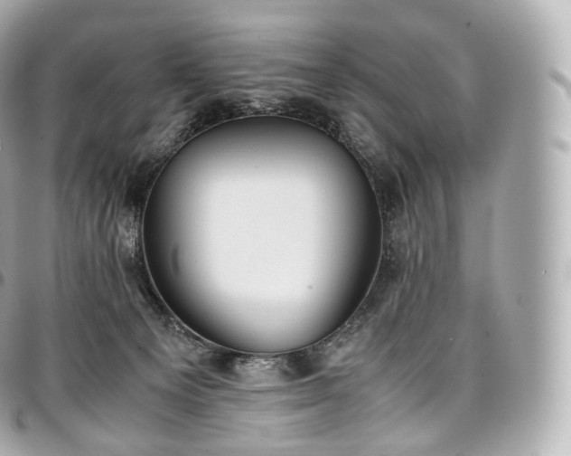 X0000097300129200802221345