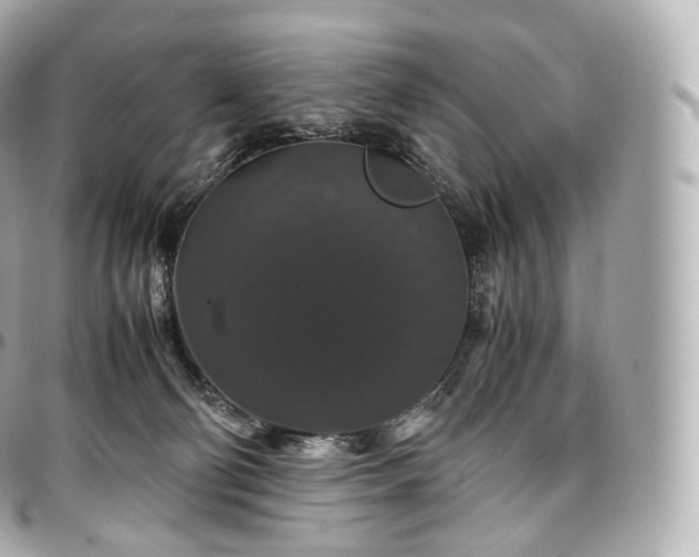 X0000097300130200802221345