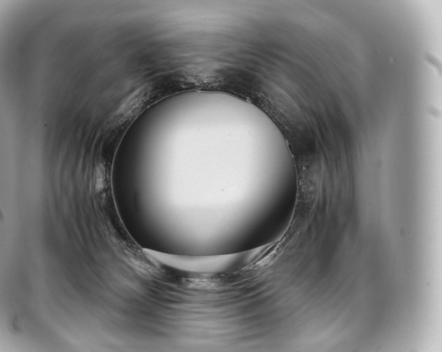 X0000097300132200802221345