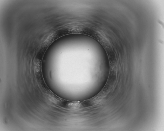 X0000097300133200802221344