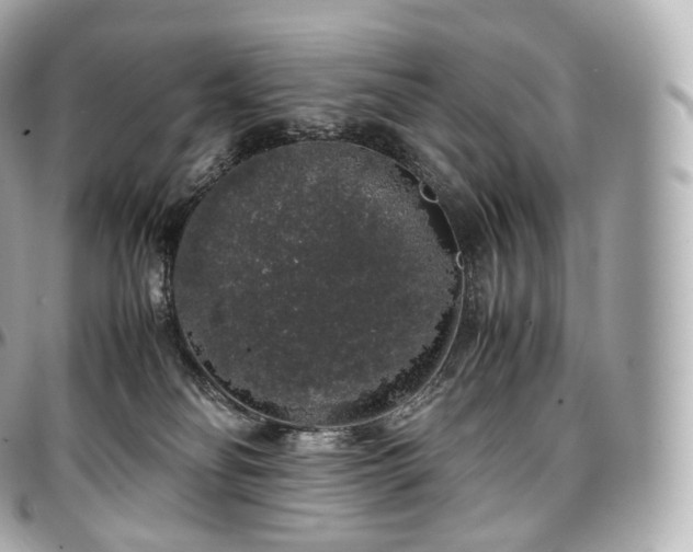 X0000097300134200802221344