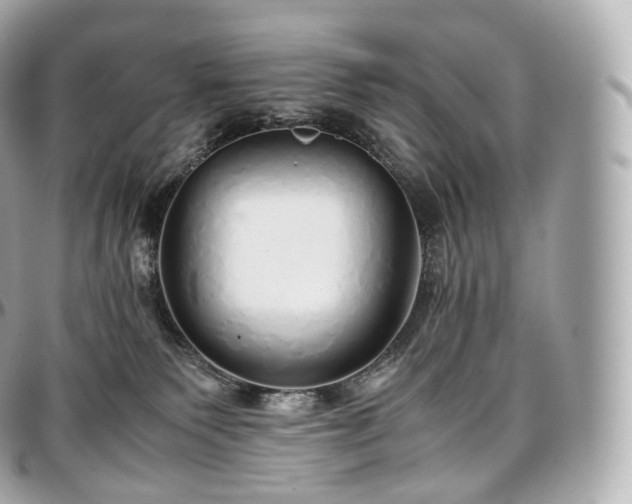 X0000097300135200802221344