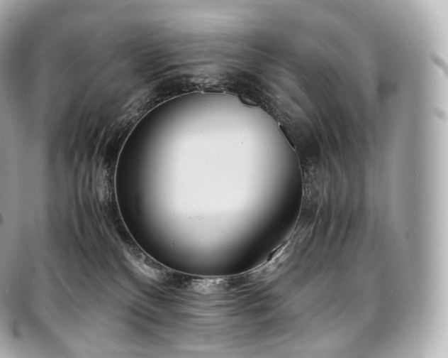 X0000097300136200802221344