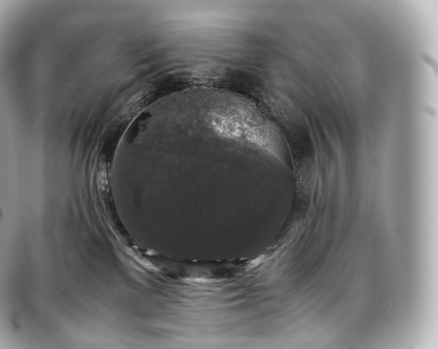 X0000097300137200802221344