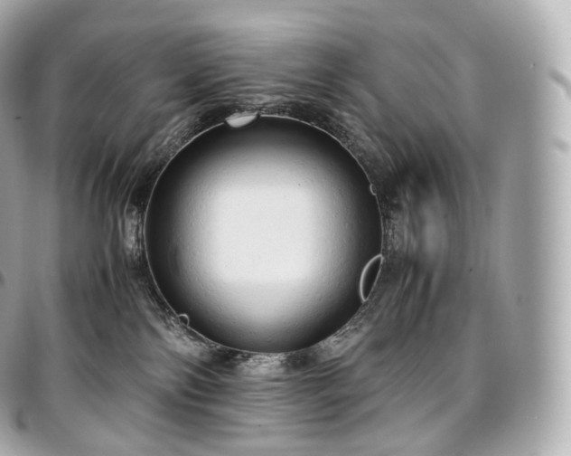 X0000097300138200802221344