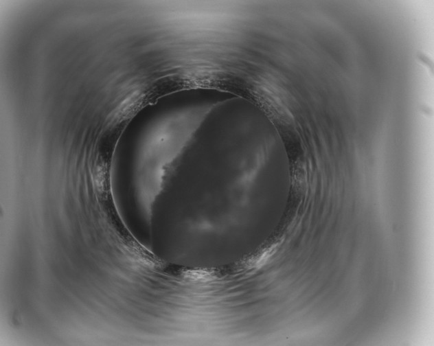 X0000097300139200802221344