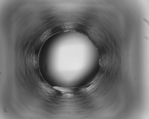 X0000097300140200802221344