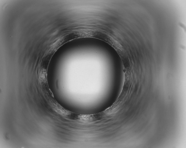 X0000097300141200802221344