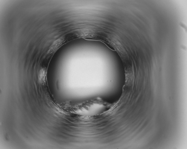 X0000097300142200802221344