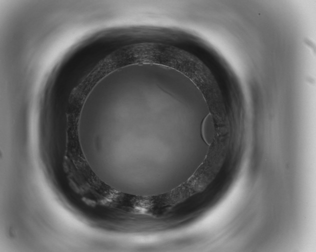 X0000097300143200802221344