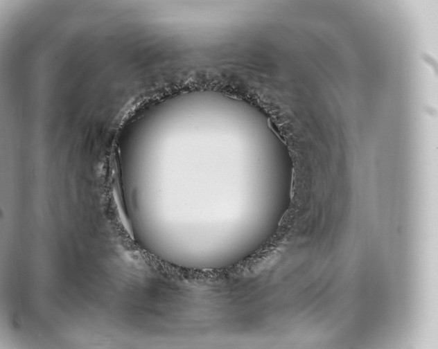 X0000097300144200802221344