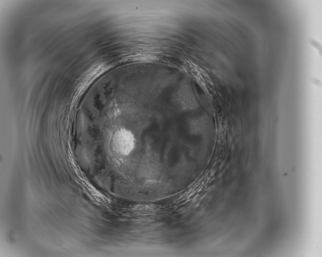 X0000097300145200802221344