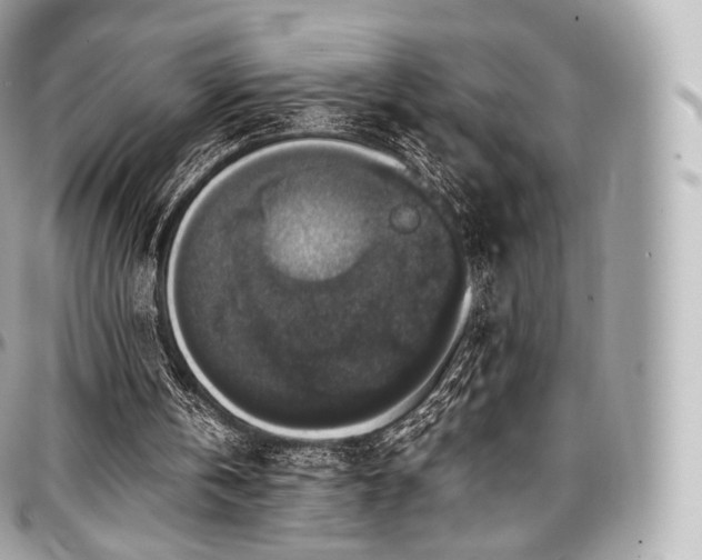 X0000097300146200802221344