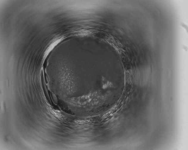 X0000097300147200802221344