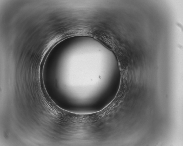 X0000097300148200802221344