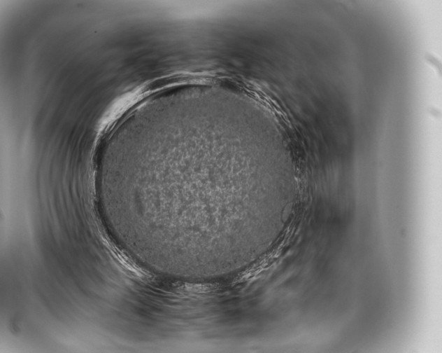 X0000097300149200802221344