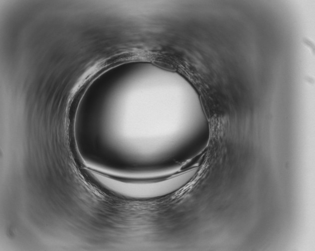 X0000097300150200802221344