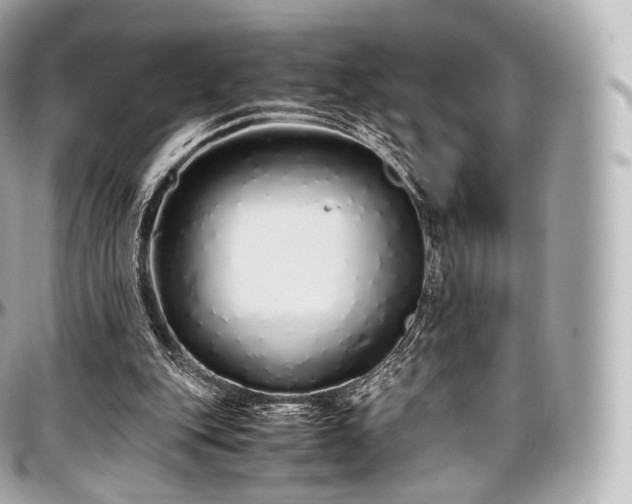 X0000097300151200802221344