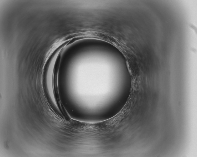 X0000097300152200802221344