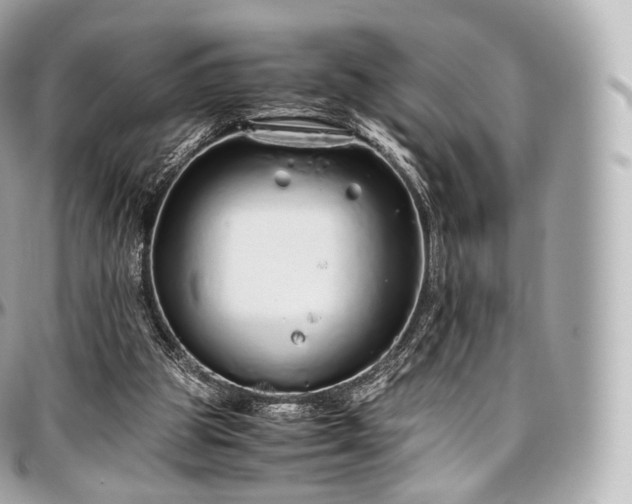 X0000097300153200802221344