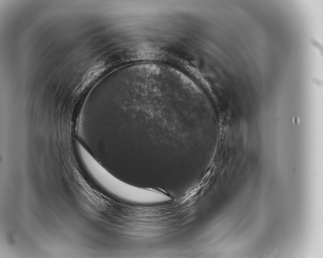 X0000097300154200802221344