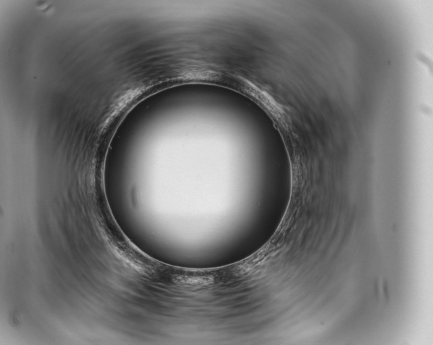 X0000097300155200802221344