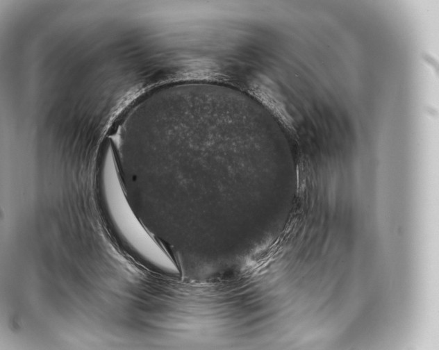 X0000097300156200802221344