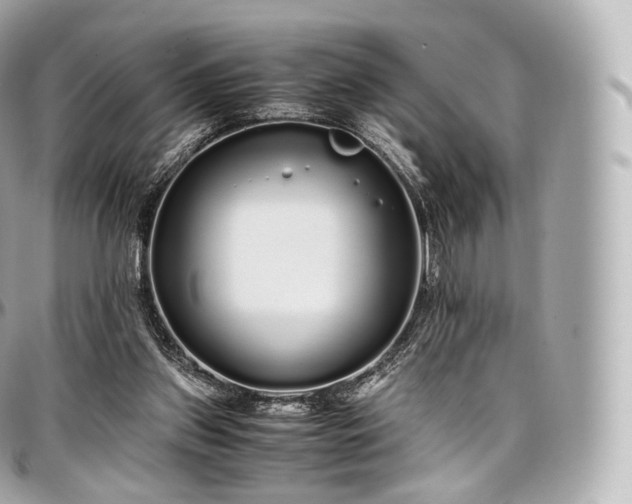 X0000097300157200802221344